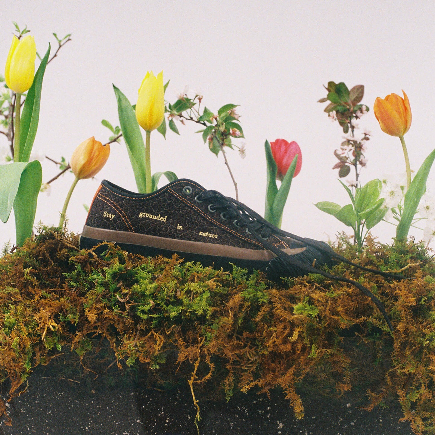 Brown low-top sneaker on a bed of moss with colorful flowers.