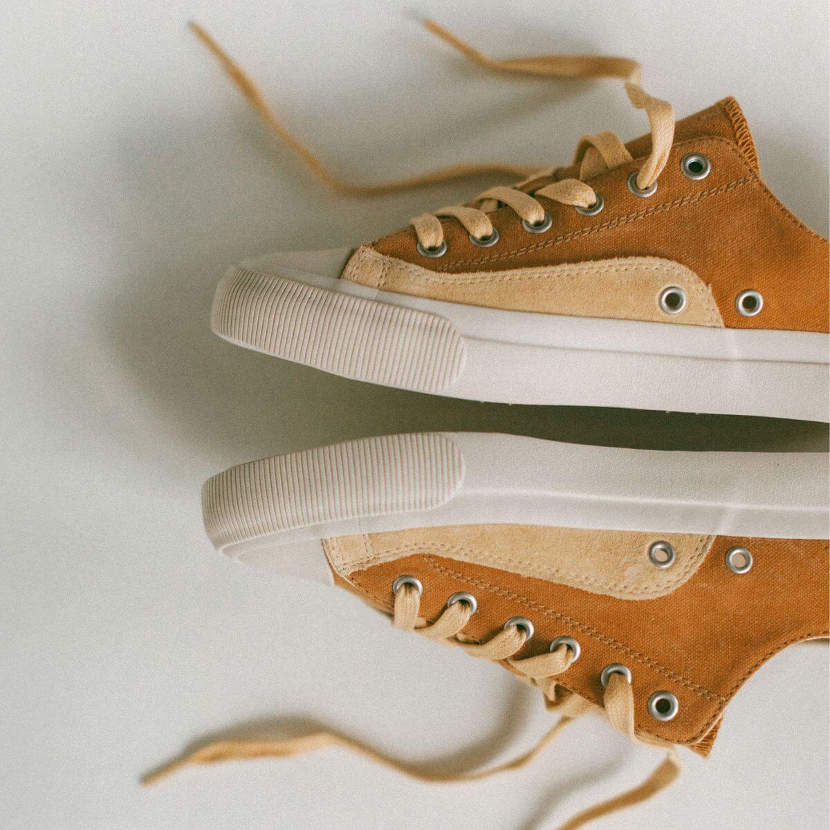 All-American Lo 14
