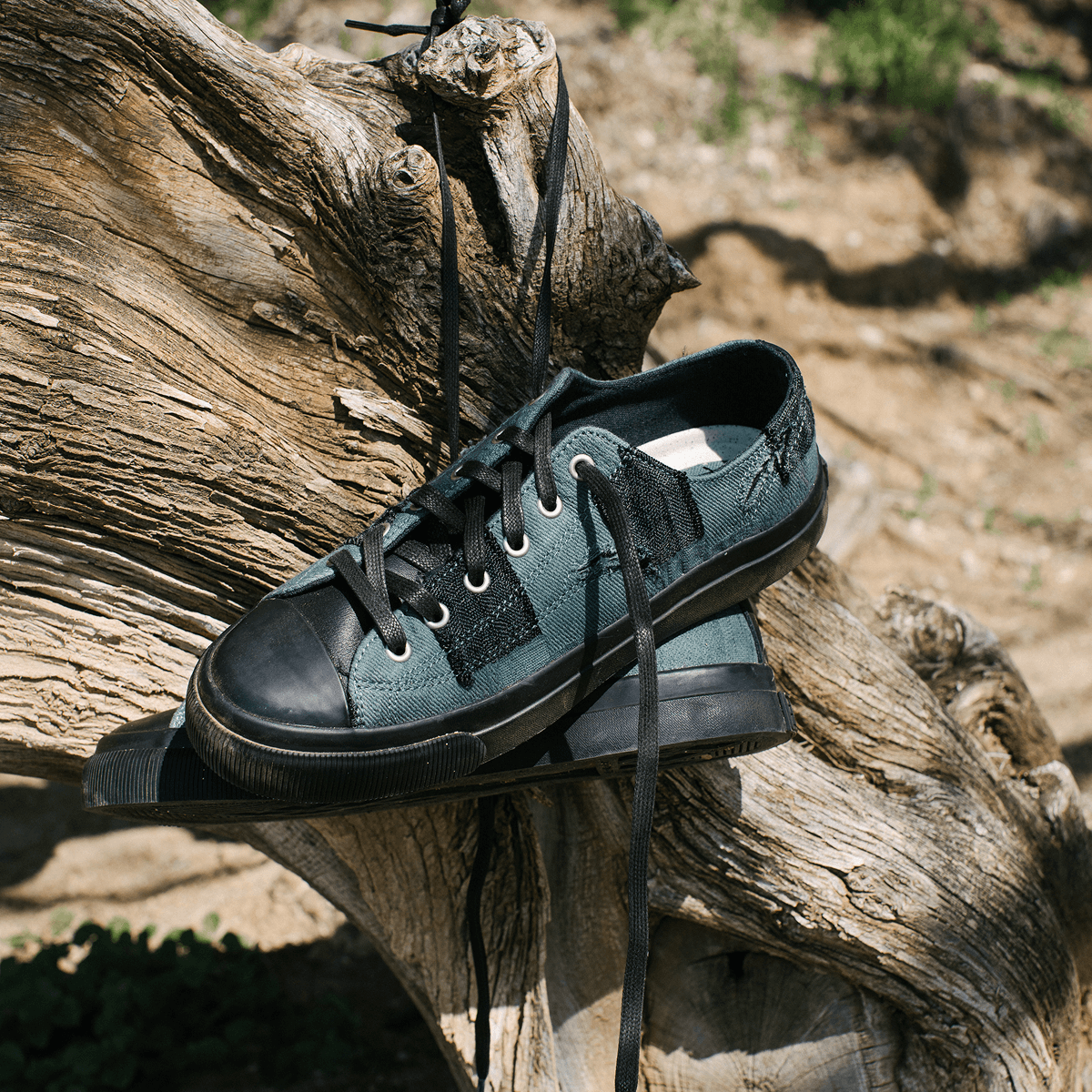 Pair of black and green sneakers on a wooden log outdoors
